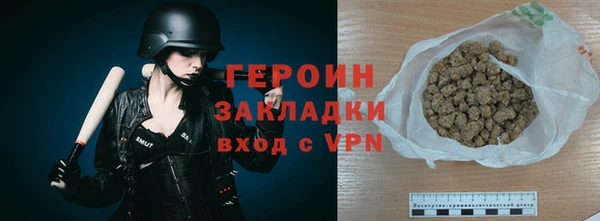 индика Вязьма