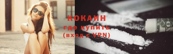индика Вязьма