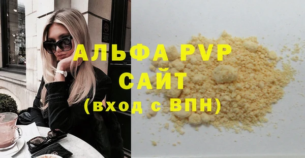 индика Вязьма