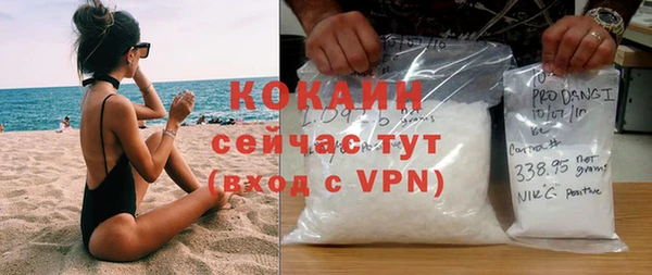 индика Вязьма