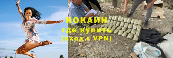 дживик Бородино