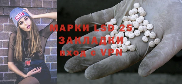 ГАЛЛЮЦИНОГЕННЫЕ ГРИБЫ Вяземский