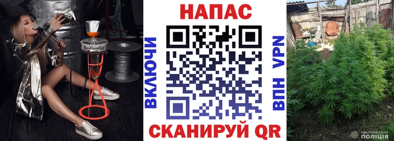 mega   Дивногорск  МАРИХУАНА сатива  сколько стоит 